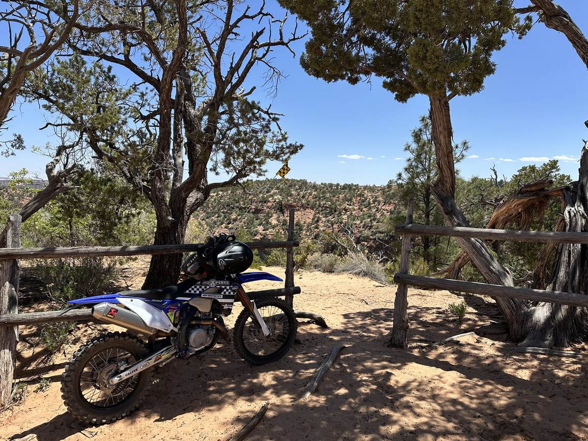 Corral Pink Dunes, in the Wind — photo 10